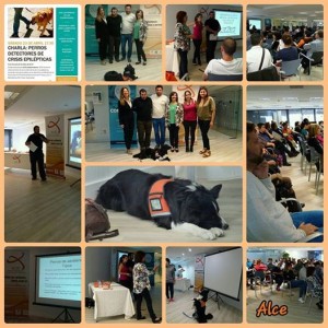 collage charla acea perros 23 abril 2106